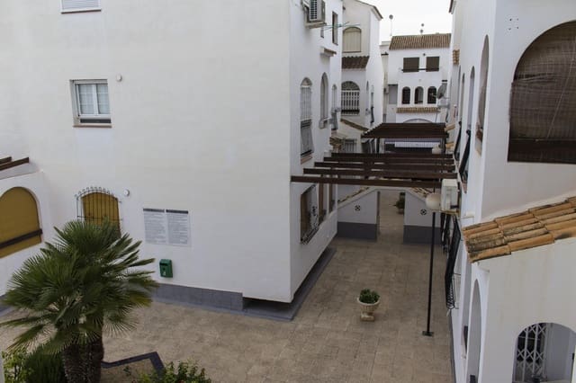 Estúdio para venda em La Veleta, Torrevieja com piscina - 109 500 € (Ref: 10047581)