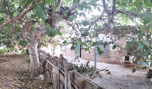 Pareado de 4 habitaciones en Lo Pagan, San Pedro del Pinatar en venta con garaje - 334.900 € (Ref: 10064726)