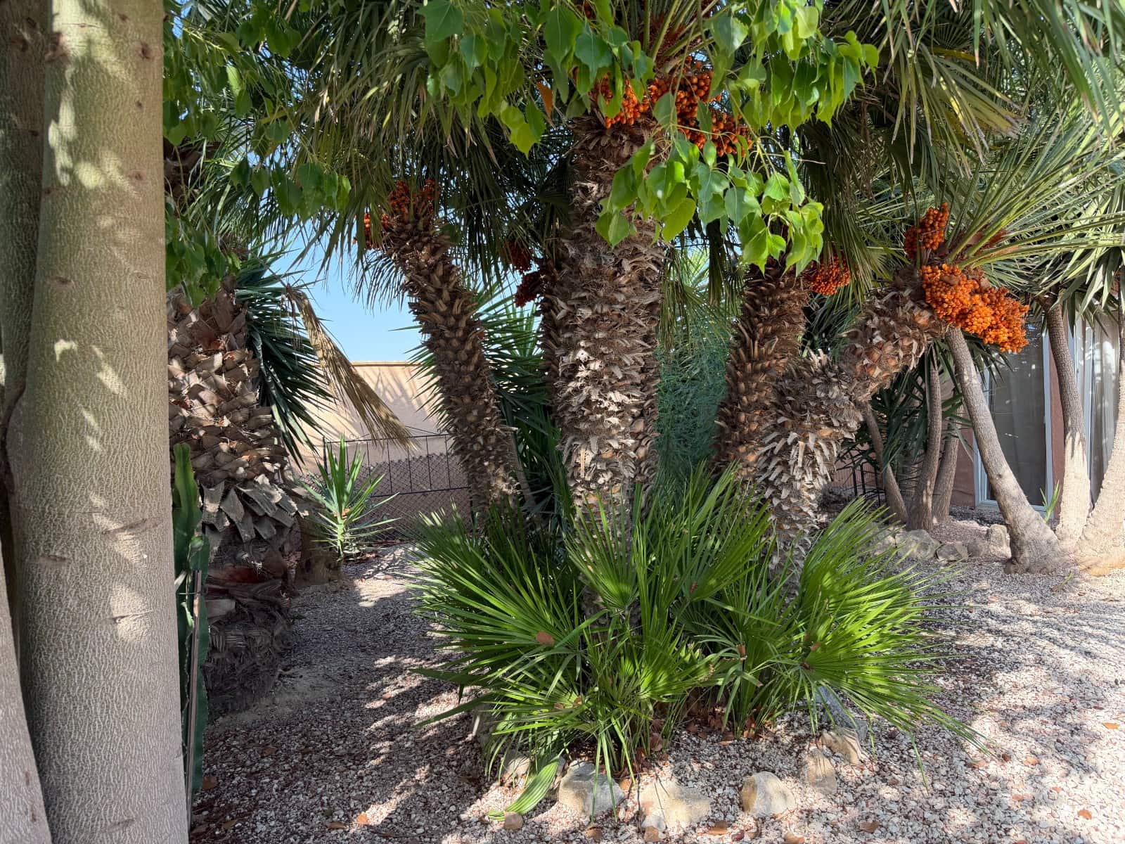 3 bedroom Finca/Country House for sale in La Marina with pool - € 375,000 (Ref: 10070946)