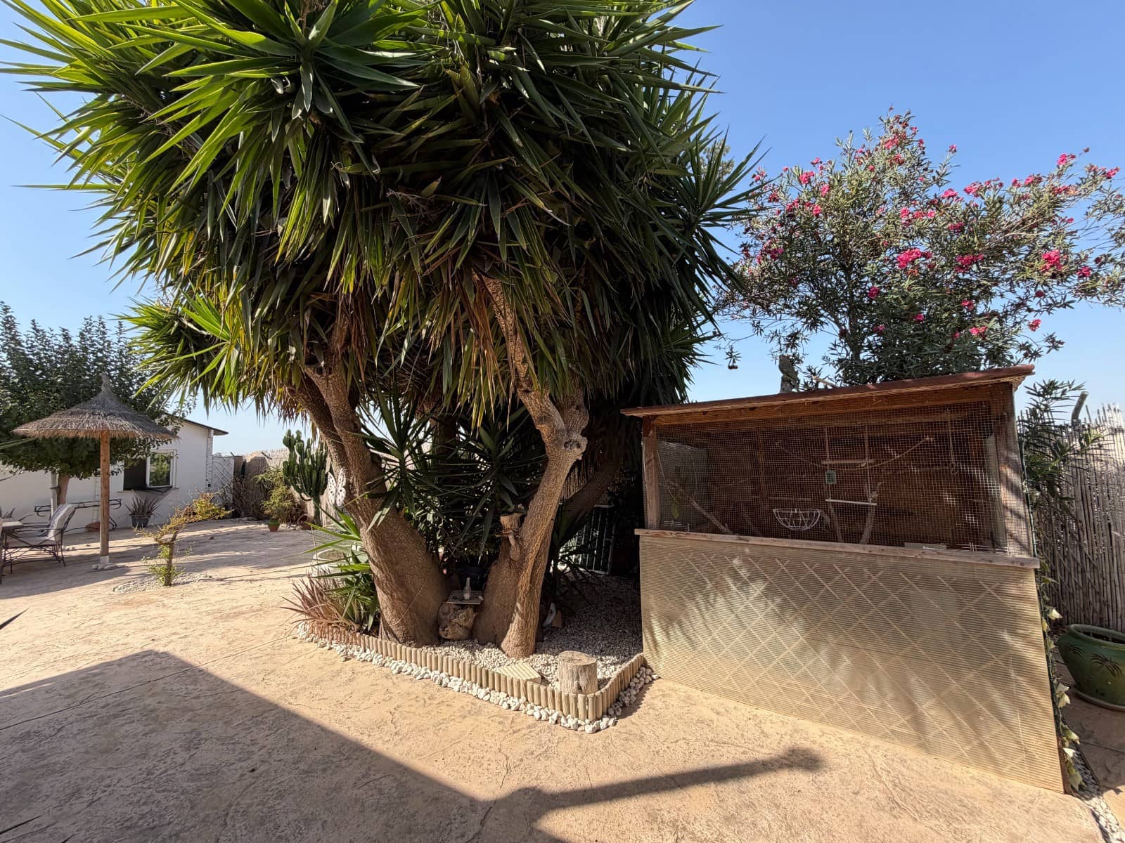 3 bedroom Finca/Country House for sale in La Marina with pool - € 375,000 (Ref: 10070946)