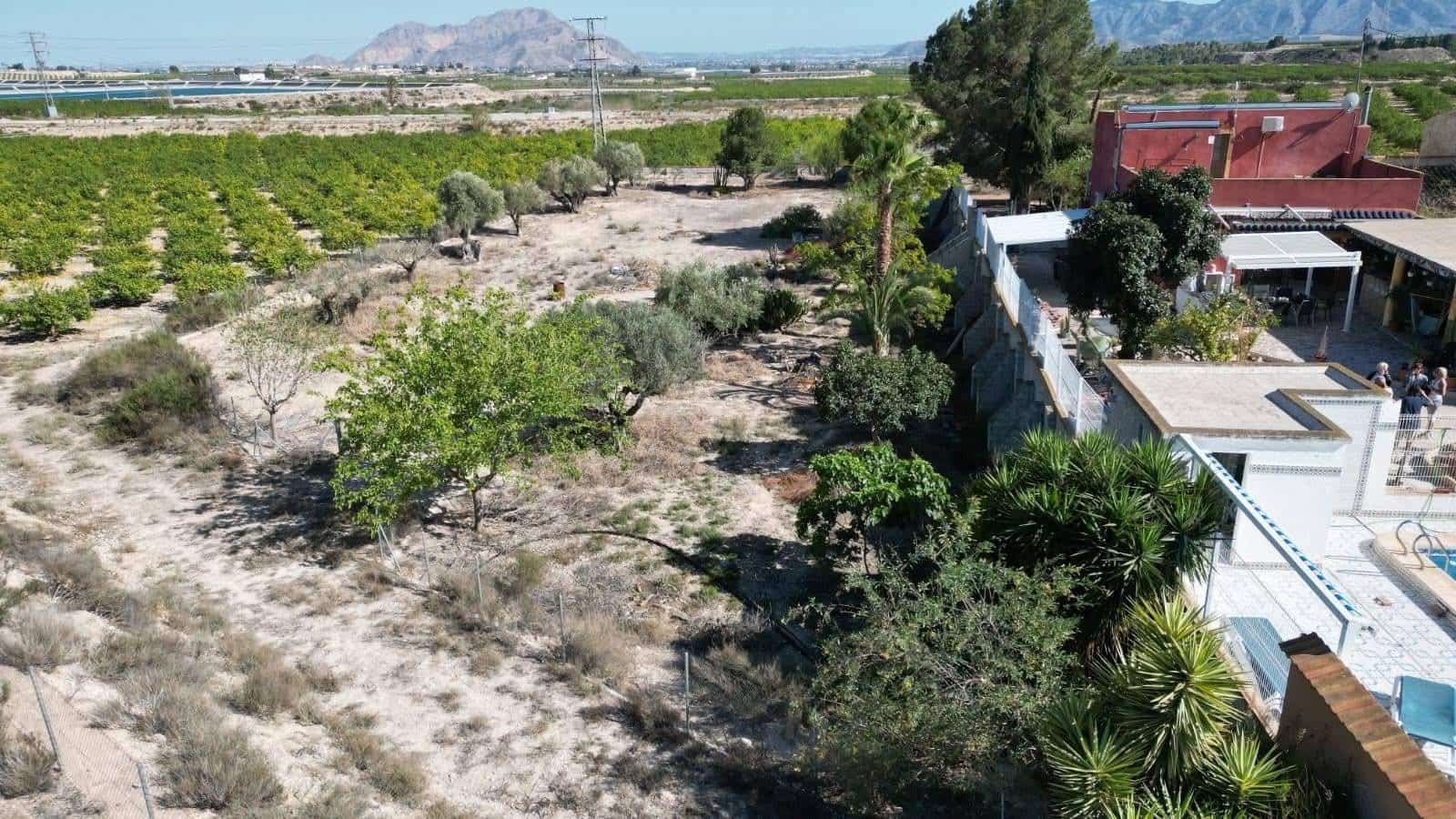 Finca/Casa Rural de 3 habitaciones en Orihuela en venta con piscina - 350.000 € (Ref: 10101884)