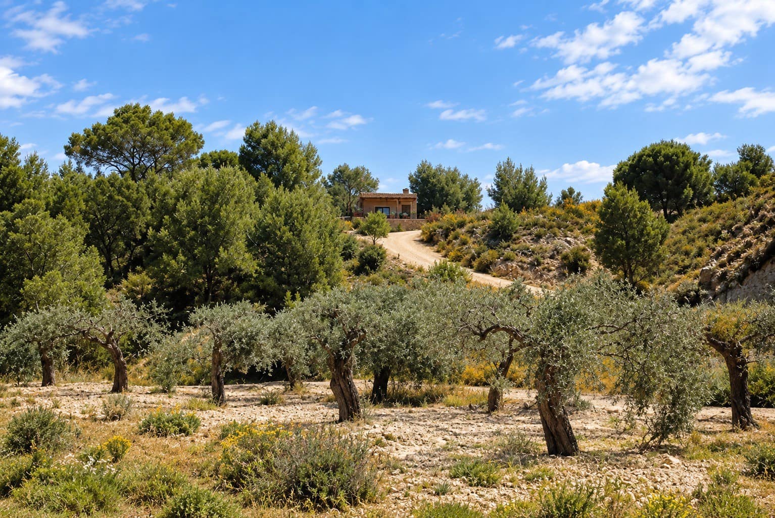 3 bedroom Villa for sale in Canada de San Pedro with pool garage - € 449,000 (Ref: 10102865)