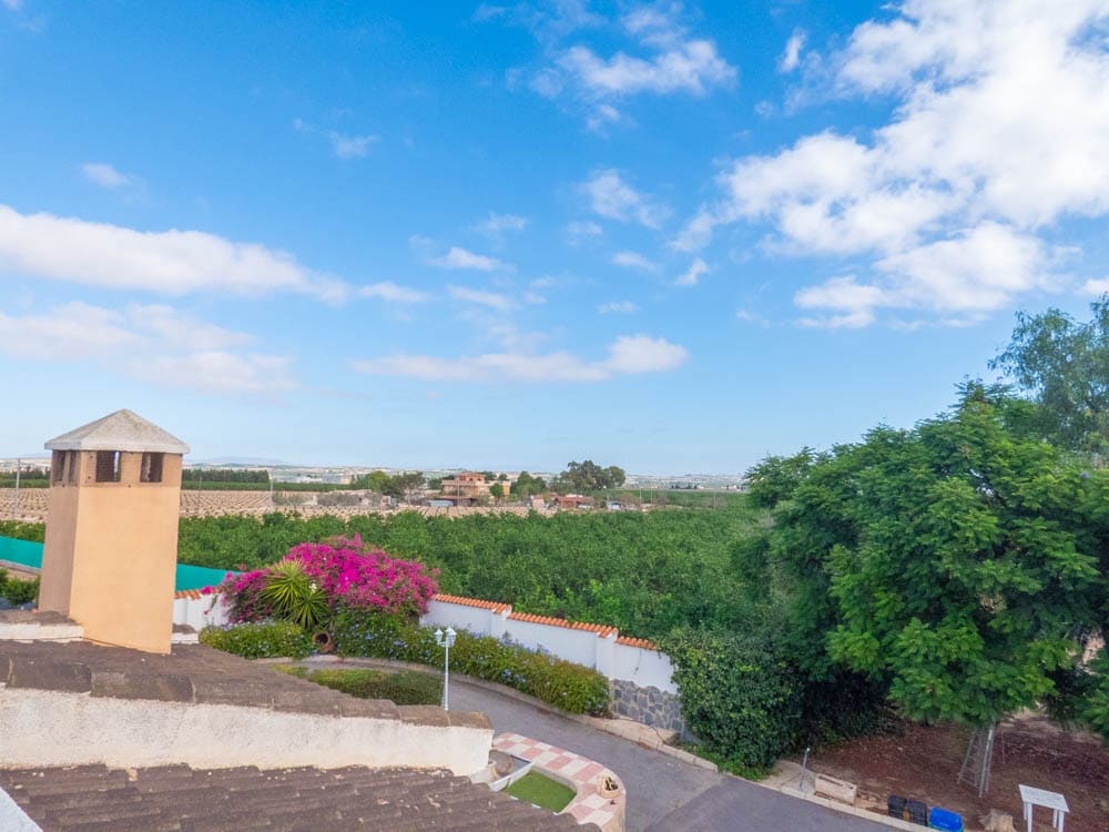 7 Zimmer Villa zu verkaufen in San Miguel de Salinas mit Pool Garage - 1.699.000 € (Ref: 8565986)