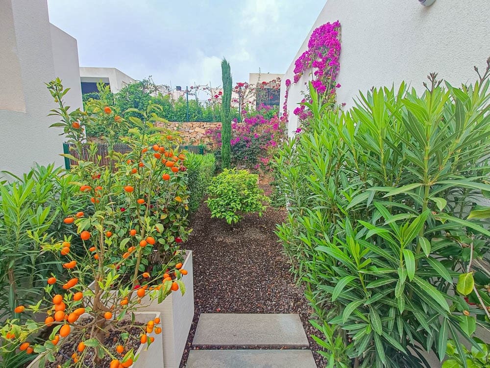 2 Zimmer Villa zu verkaufen in Algorfa mit Pool Garage - 540.000 € (Ref: 8940089)
