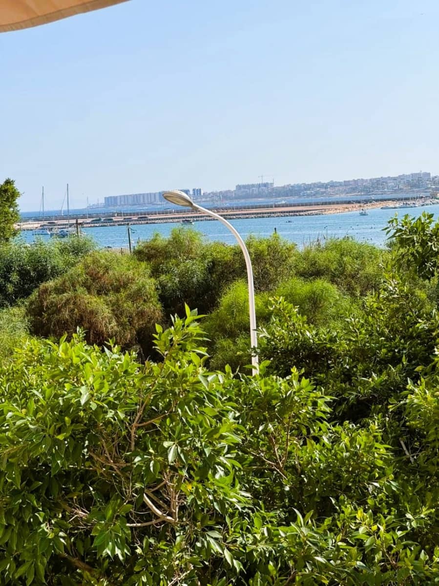 3 chambre Appartement à vendre à Torrevieja - 239 000 € (Ref: 9415421)