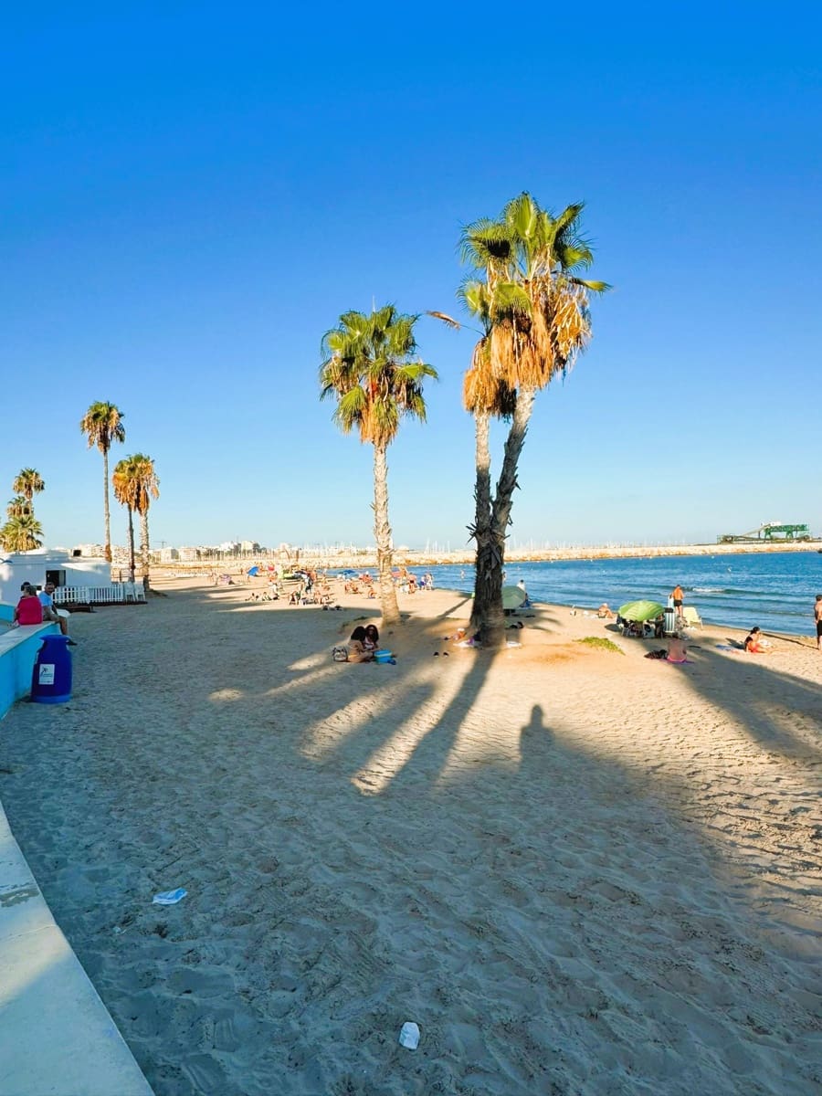 3 chambre Appartement à vendre à Torrevieja - 239 000 € (Ref: 9415421)