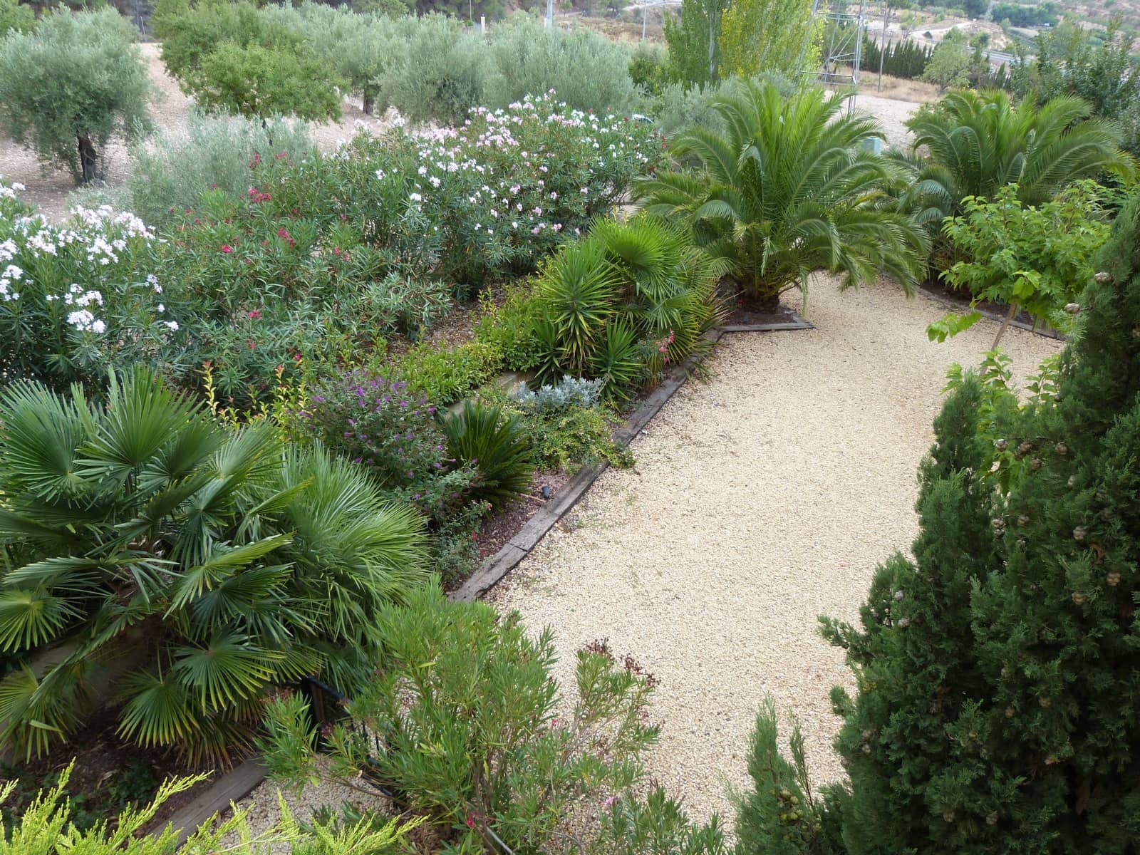 15 bedroom Finca/Country House for sale in Ibi with pool garage - € 850,000 (Ref: 9445562)