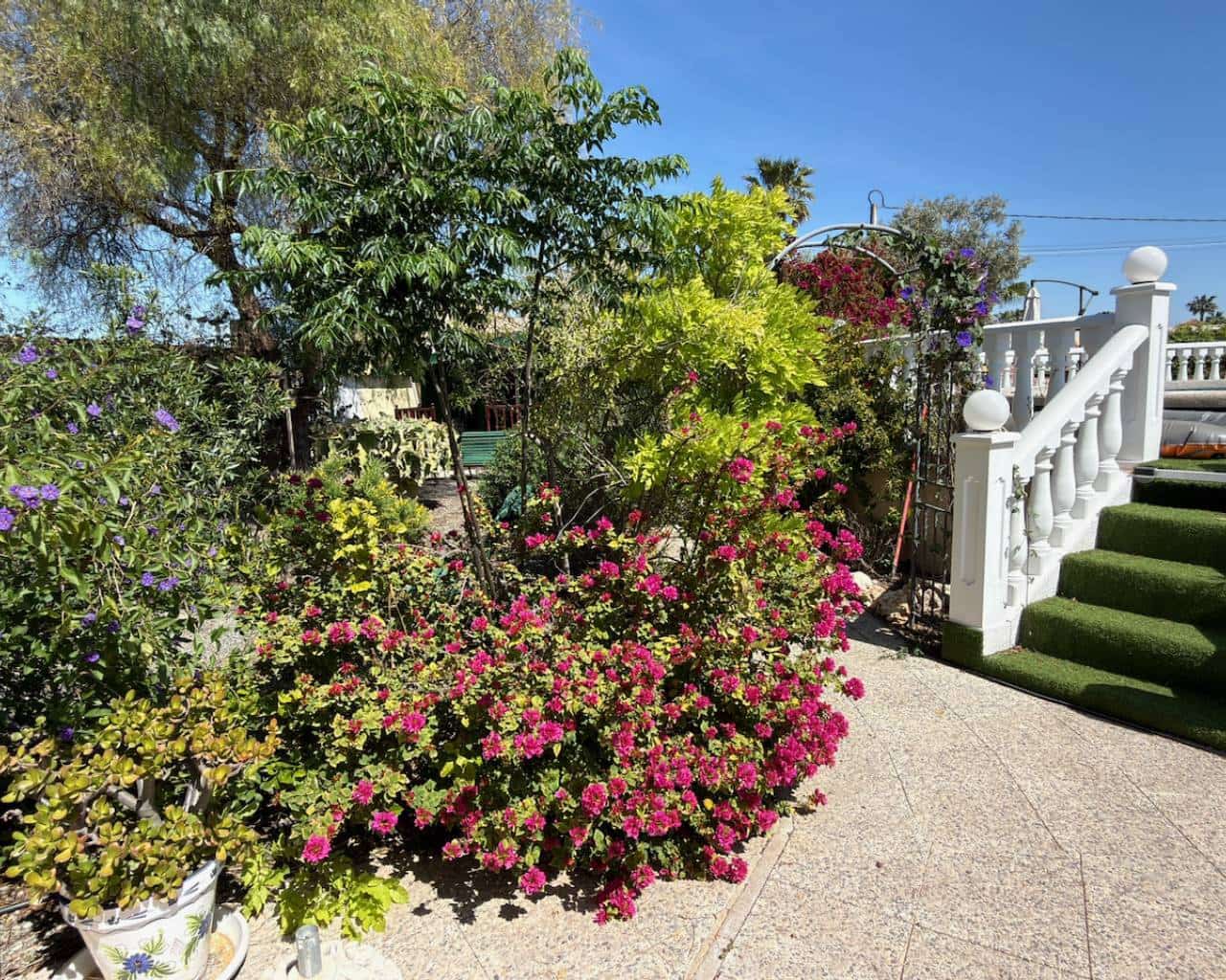 5 chambre Finca/Maison de Campagne à vendre à Catral avec piscine garage - 575 000 € (Ref: 9800699)