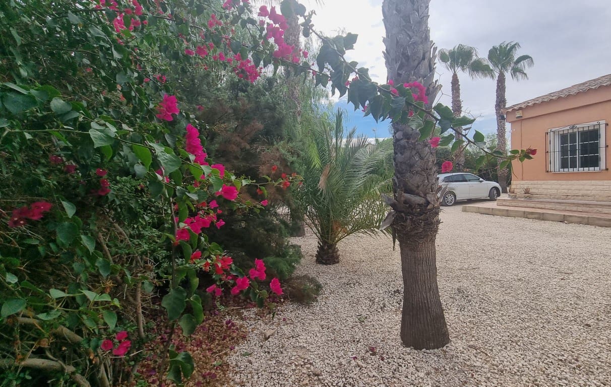 3 sypialnia Willa na sprzedaż w Elche / Elx z basenem - 315 000 € (Ref: 9834040)