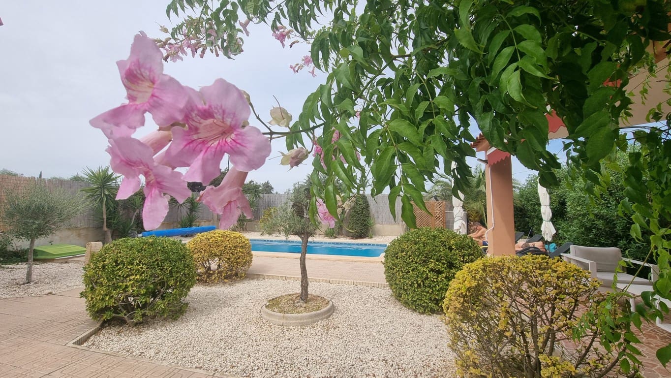 3 sypialnia Willa na sprzedaż w Elche / Elx z basenem - 315 000 € (Ref: 9834040)