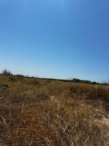 Terrain à Bâtir à vendre à Elche / Elx - 185 000 € (Ref: 9835061)