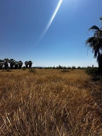 Terrain à Bâtir à vendre à Elche / Elx - 185 000 € (Ref: 9835061)
