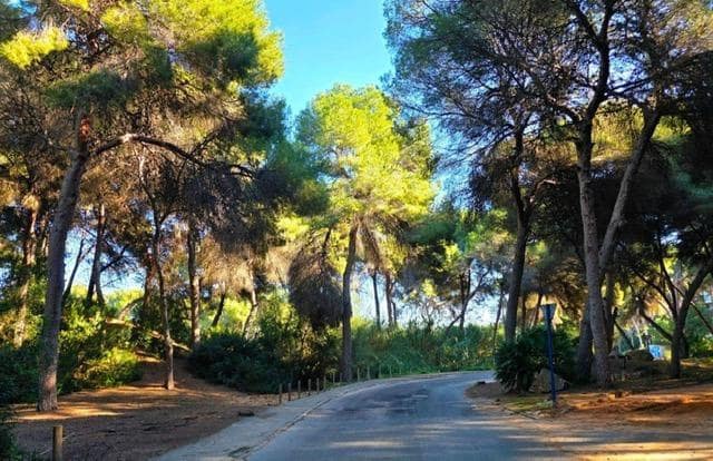 5 chambre Villa/Maison à vendre à Dehesa de Campoamor avec piscine garage - 739 000 € (Ref: 9839637)