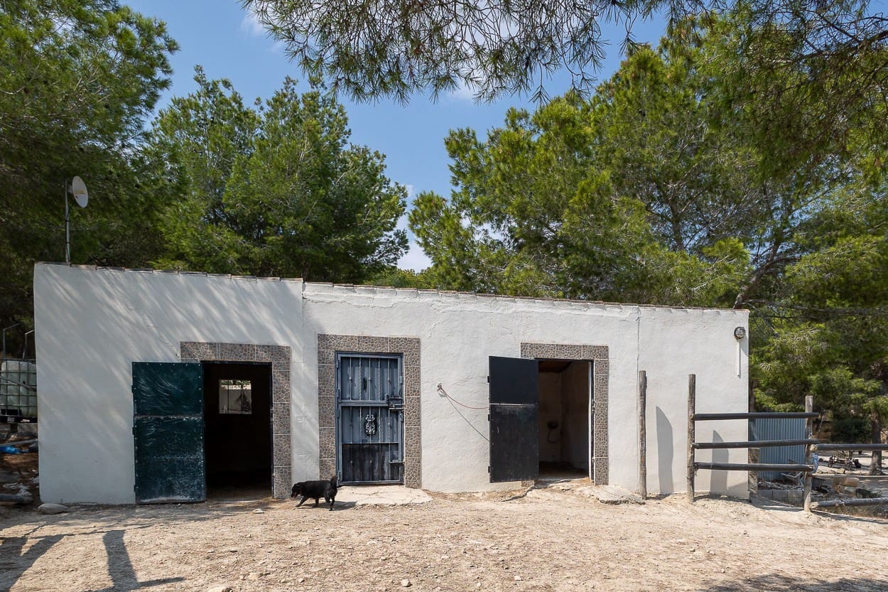 4 chambre Finca/Maison de Campagne à vendre à Torremendo avec piscine garage - 544 990 € (Ref: 9846796)