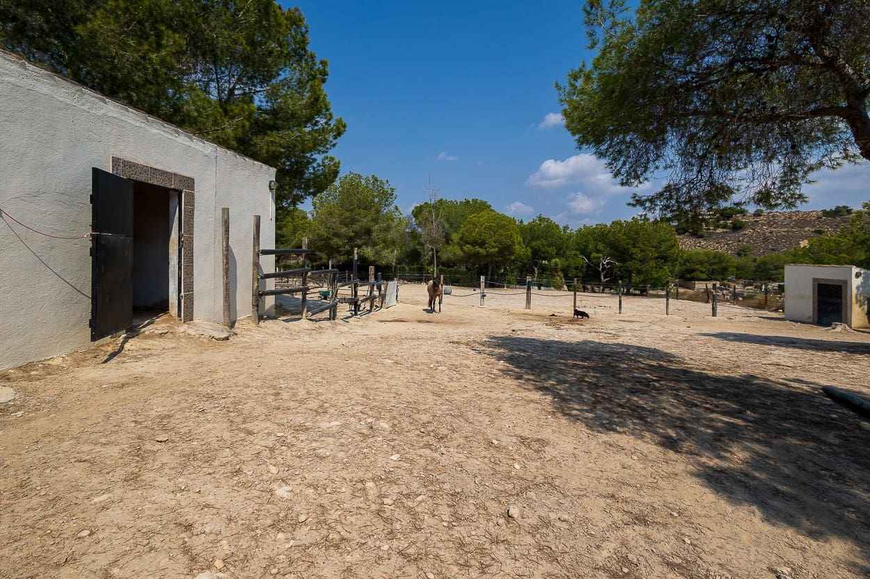 4 chambre Finca/Maison de Campagne à vendre à Torremendo avec piscine garage - 544 990 € (Ref: 9846796)