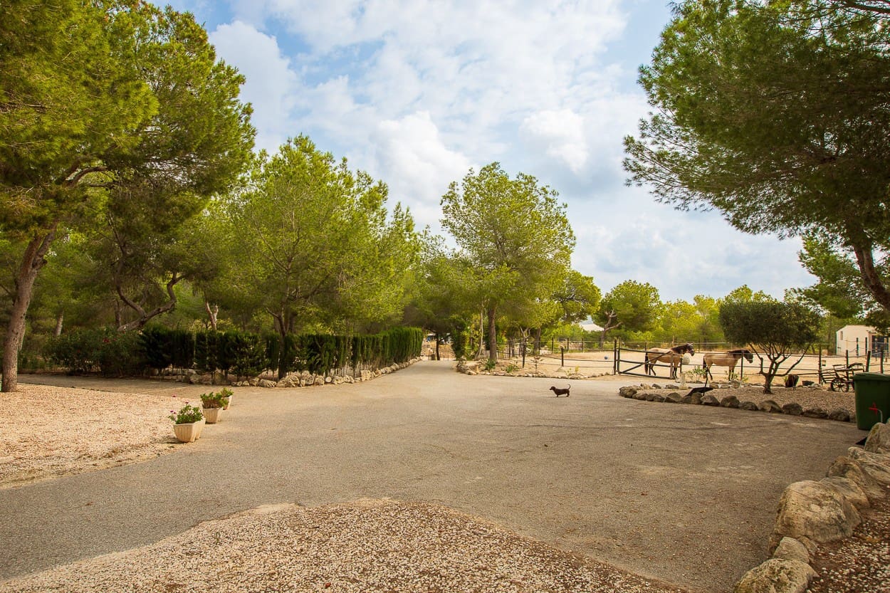 4 chambre Finca/Maison de Campagne à vendre à Torremendo avec piscine garage - 544 990 € (Ref: 9846796)