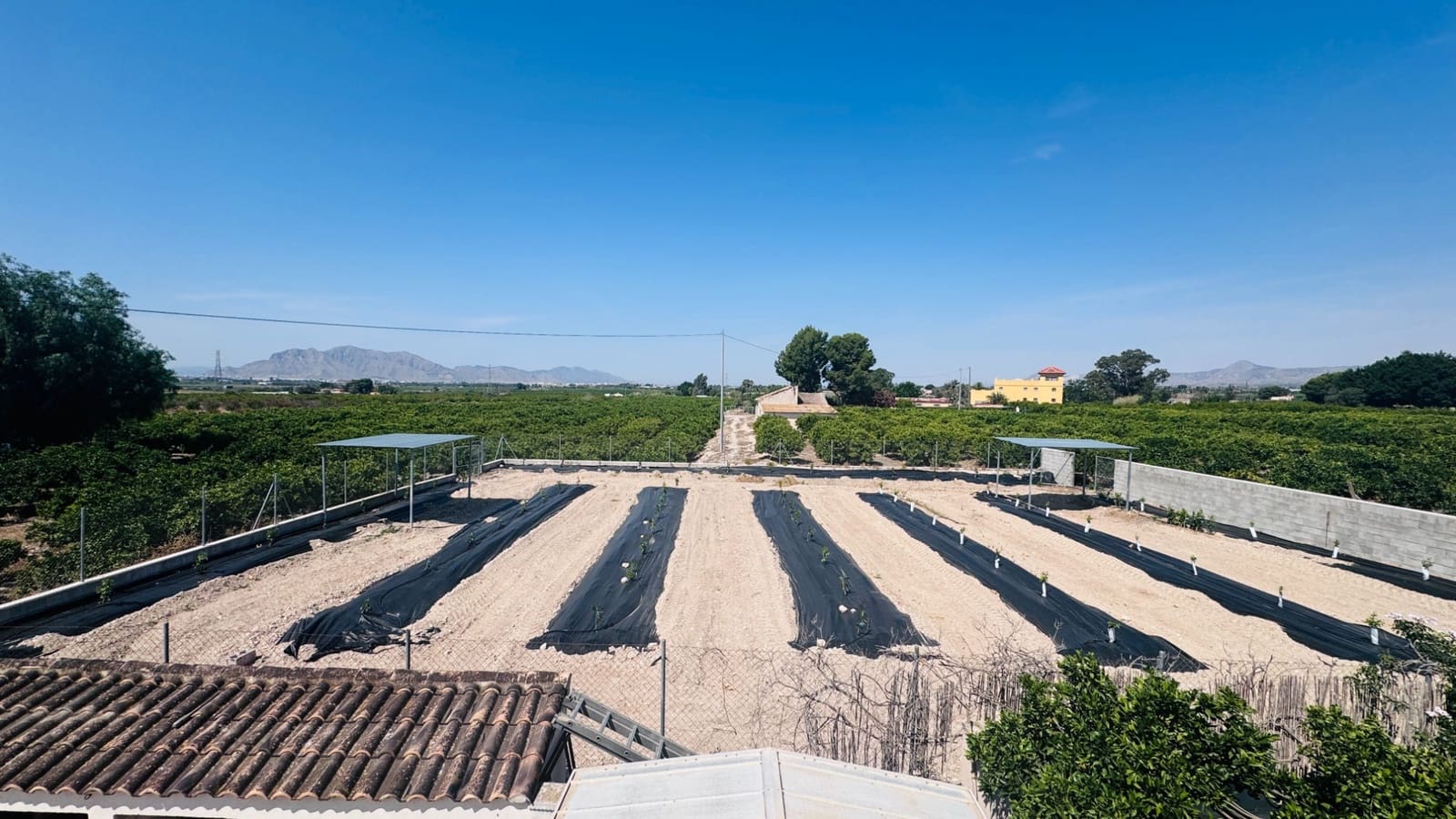 4 Zimmer Finca/Landgut zu verkaufen in Albatera - 299.950 € (Ref: 9890029)