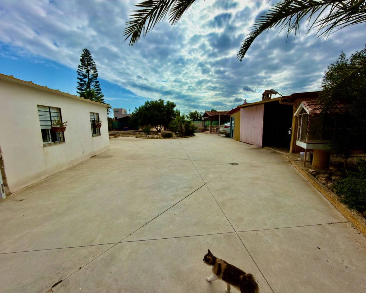 1 camera da letto Finca/Casa di Campagna in vendita in San Fulgencio con piscina - 195.000 € (Rif: 9900701)