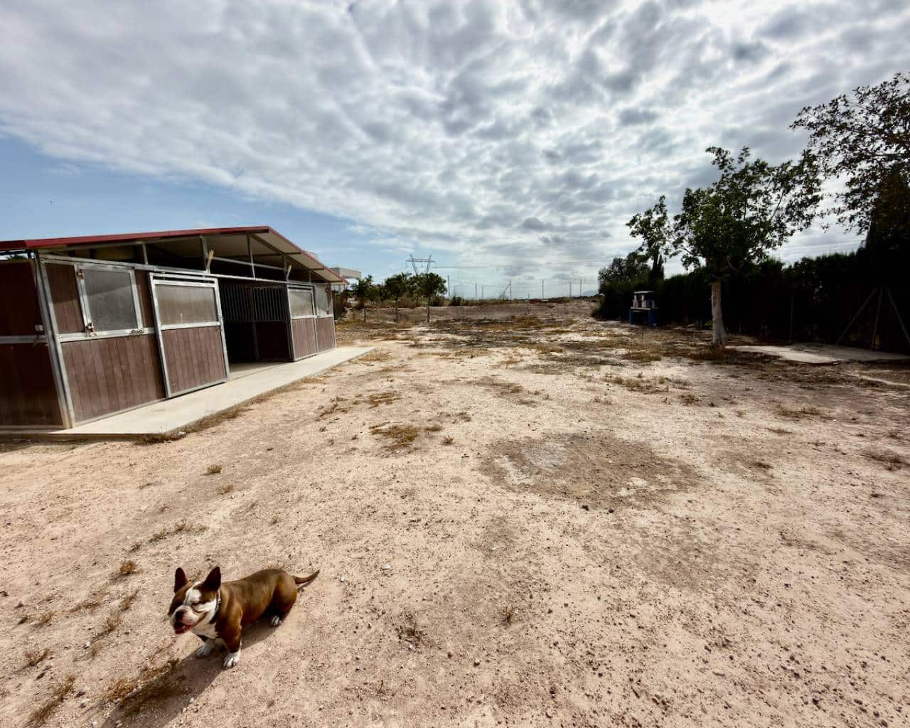 1 camera da letto Finca/Casa di Campagna in vendita in San Fulgencio con piscina - 195.000 € (Rif: 9900701)