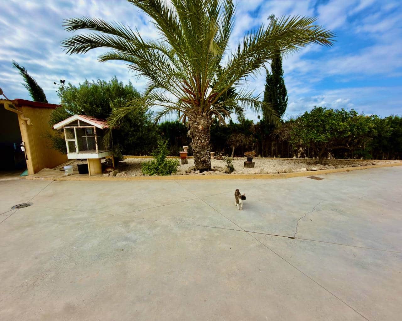 1 camera da letto Finca/Casa di Campagna in vendita in San Fulgencio con piscina - 195.000 € (Rif: 9900701)