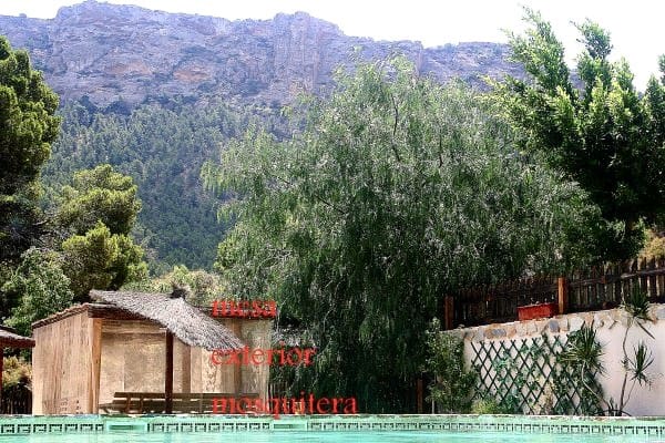 3 bedroom Villa for sale in Canada de San Pedro with pool - € 449,000 (Ref: 9978853)