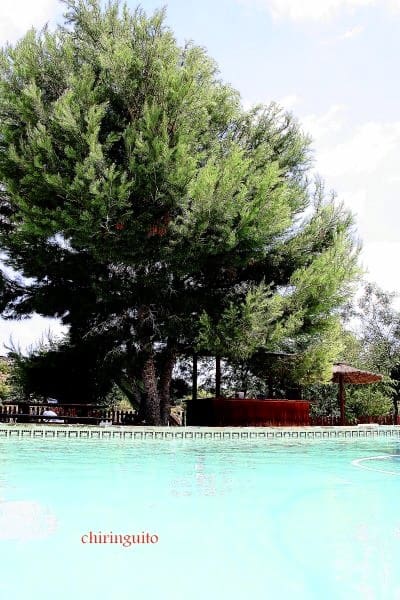 3 bedroom Villa for sale in Canada de San Pedro with pool - € 449,000 (Ref: 9978853)