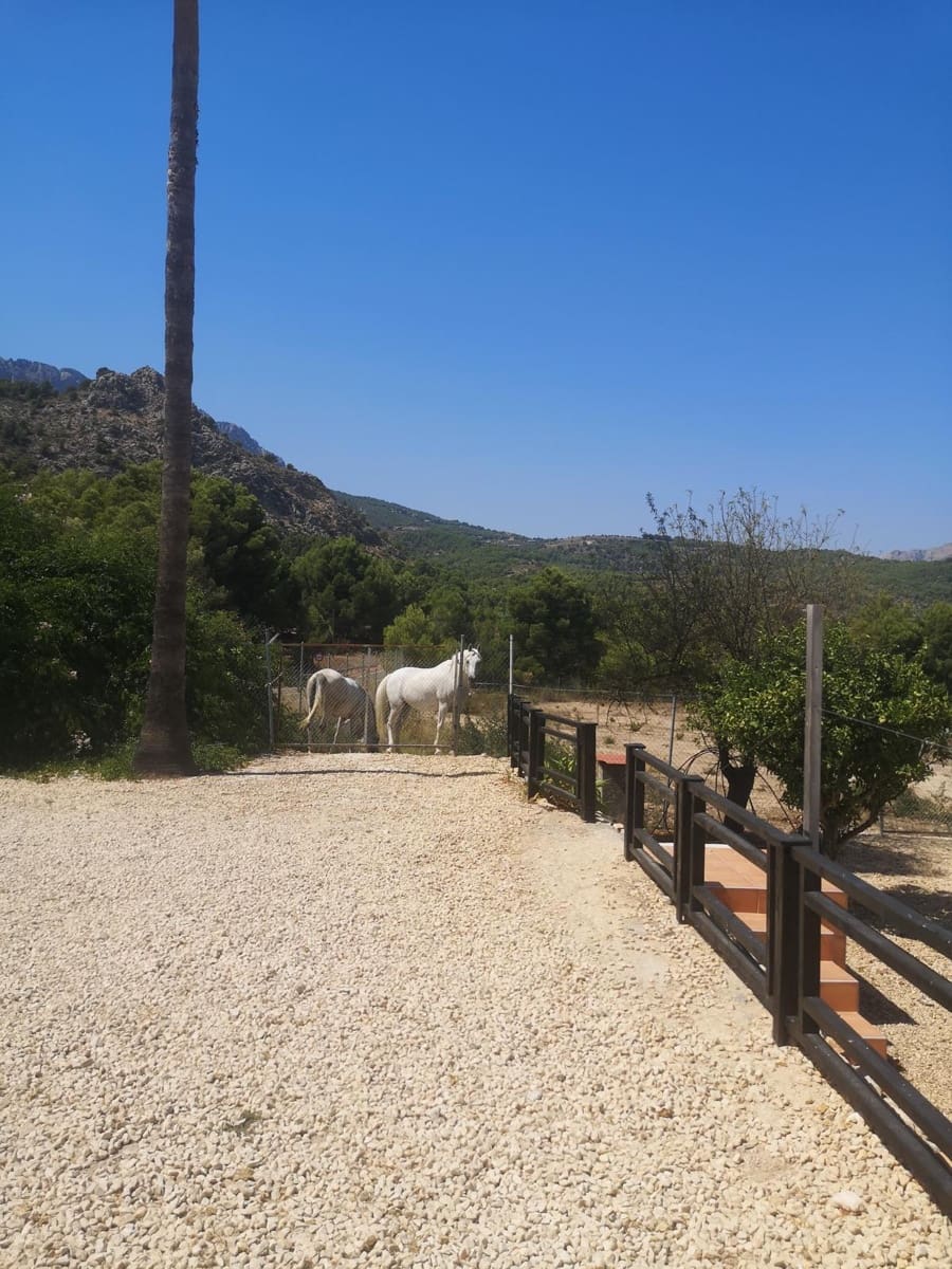 3 slaapkamer Finca/Landhuis te koop in Polop - € 295.000 (Ref: 9994242)