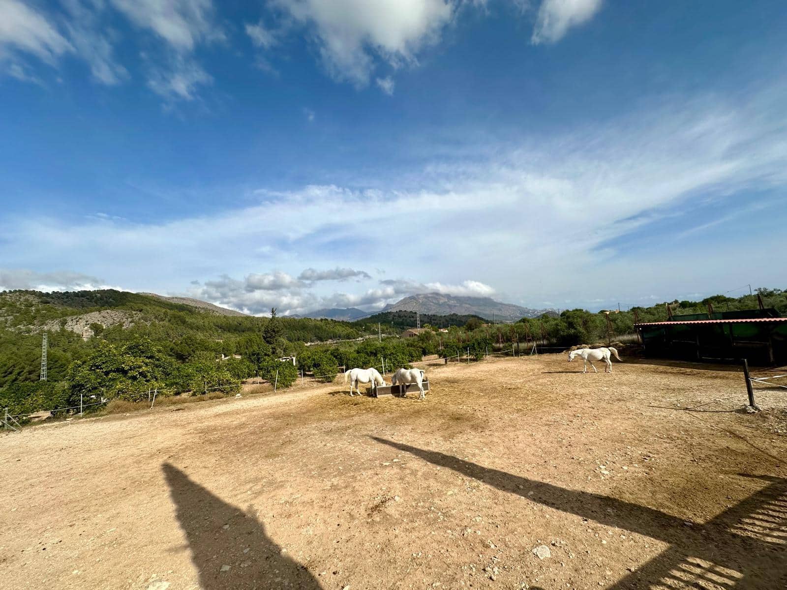 3 slaapkamer Finca/Landhuis te koop in Polop - € 295.000 (Ref: 9994242)