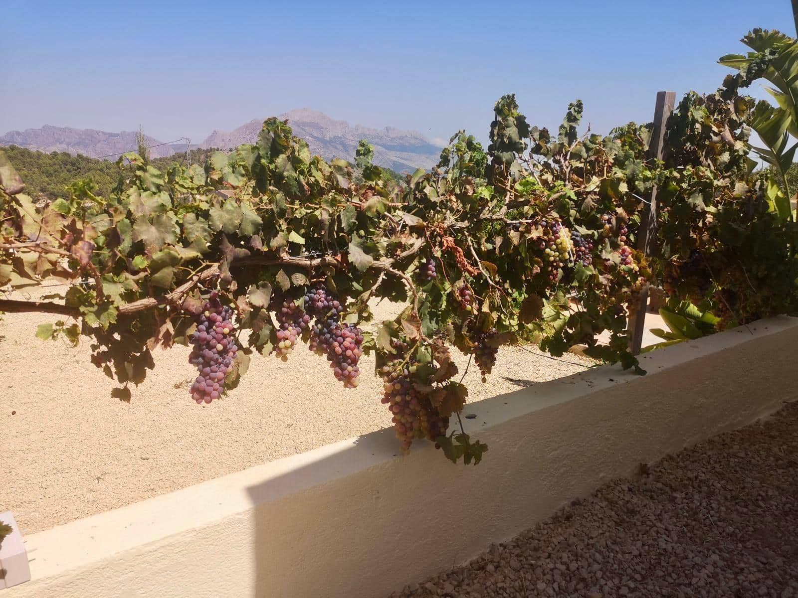 3 slaapkamer Finca/Landhuis te koop in Polop - € 295.000 (Ref: 9994242)