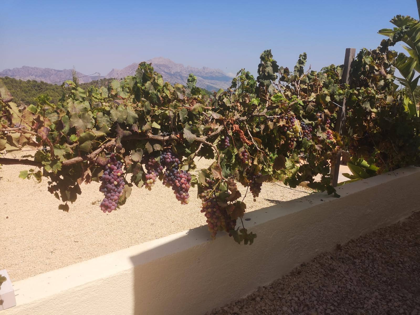 3 slaapkamer Finca/Landhuis te koop in Polop - € 295.000 (Ref: 9994242)