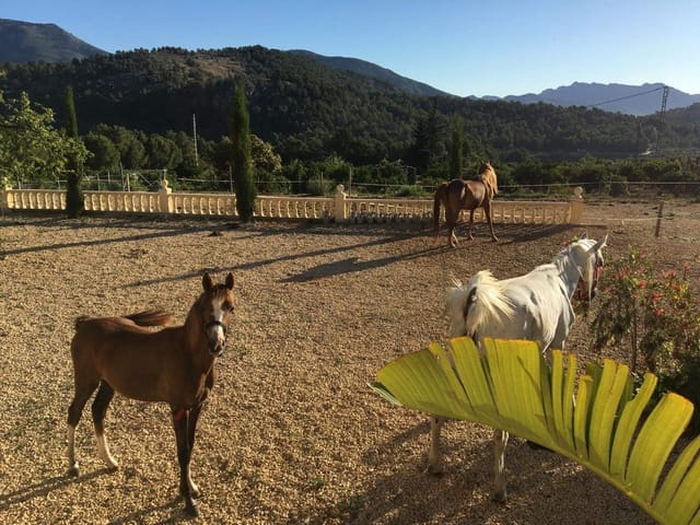 3 slaapkamer Finca/Landhuis te koop in Polop - € 295.000 (Ref: 9994242)
