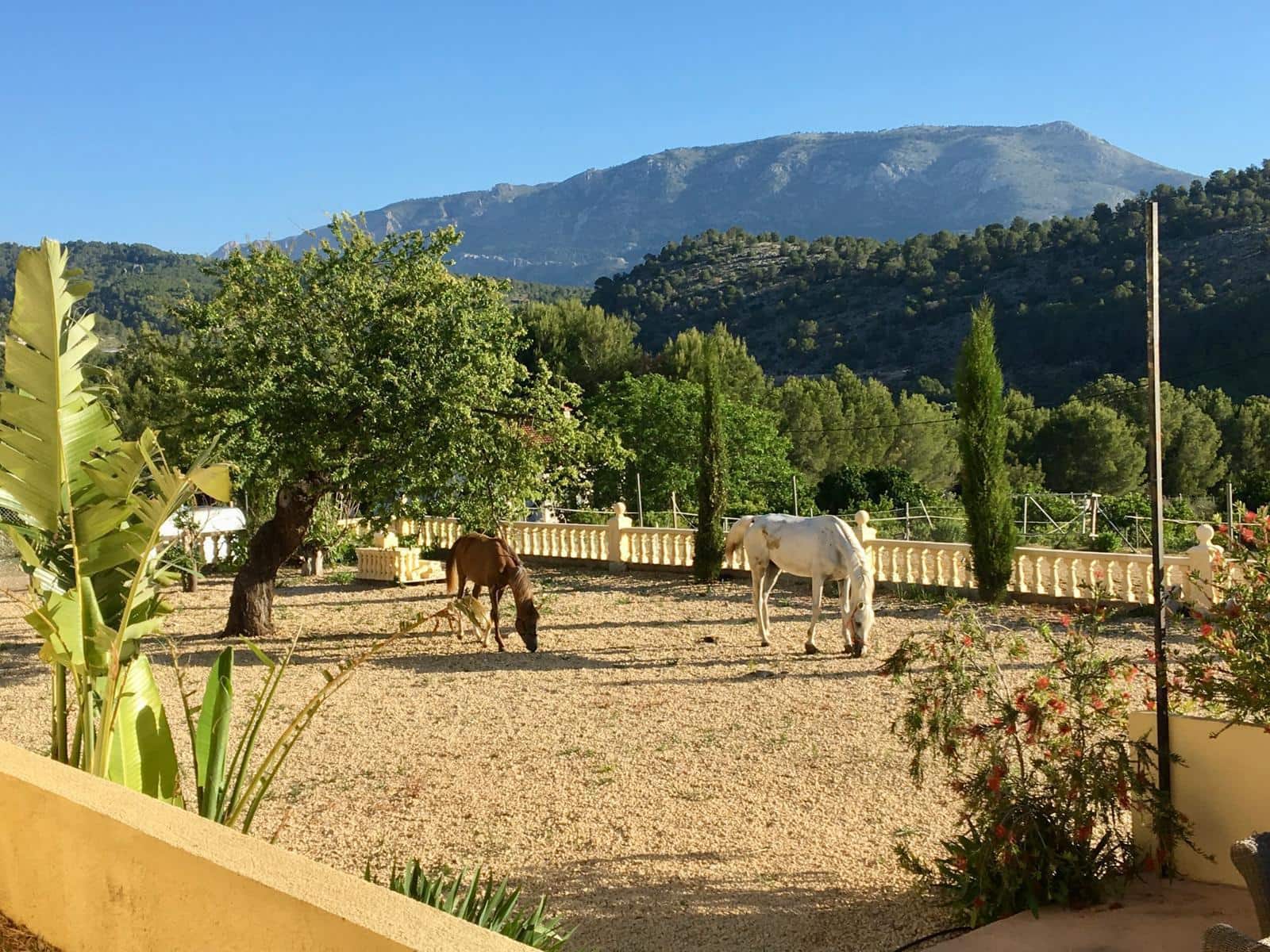 3 slaapkamer Finca/Landhuis te koop in Polop - € 295.000 (Ref: 9994242)
