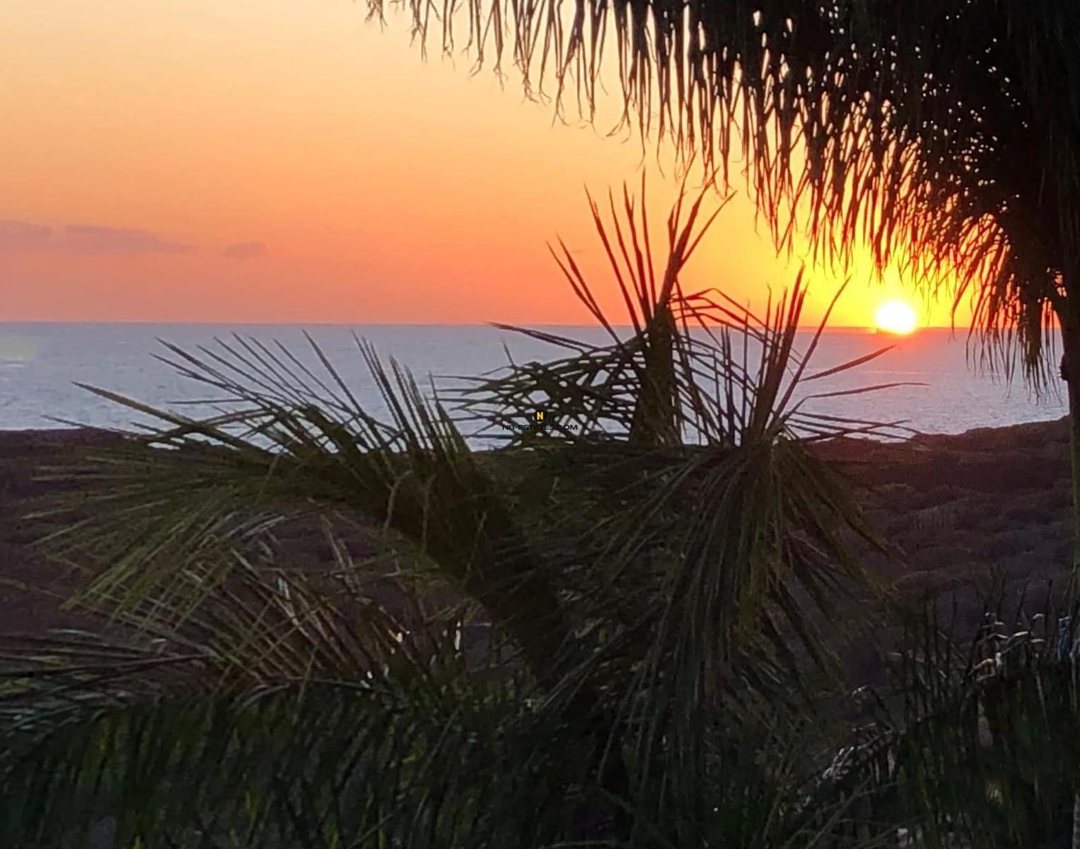 2 soverom Leilighet til salgs i Palm-Mar med svømmebasseng garasje - € 885 000 (Ref: 9559098)