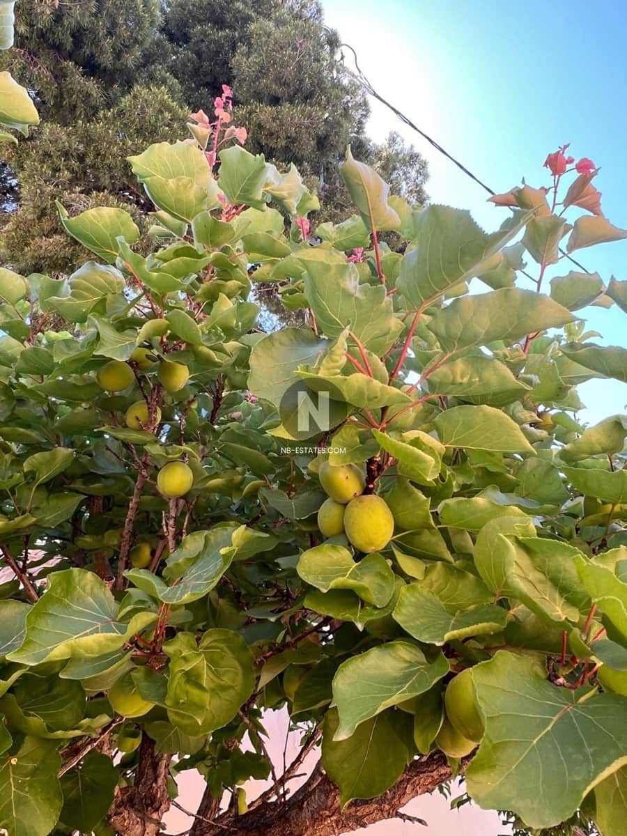 4 camera da letto Villa in vendita in Moraira con piscina - 1.565.000 € (Rif: 9640673)