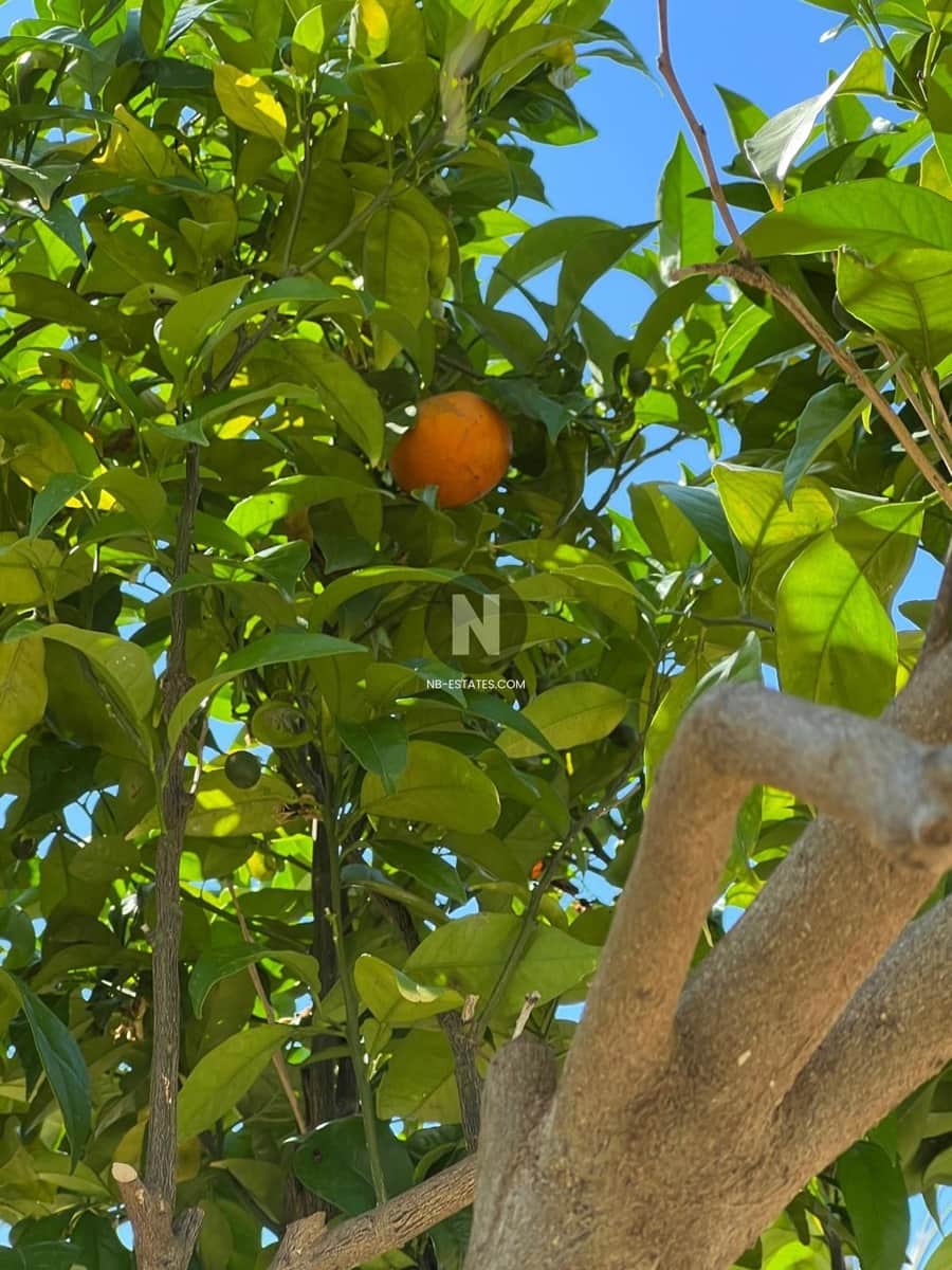 4 camera da letto Villa in vendita in Moraira con piscina - 1.565.000 € (Rif: 9640673)