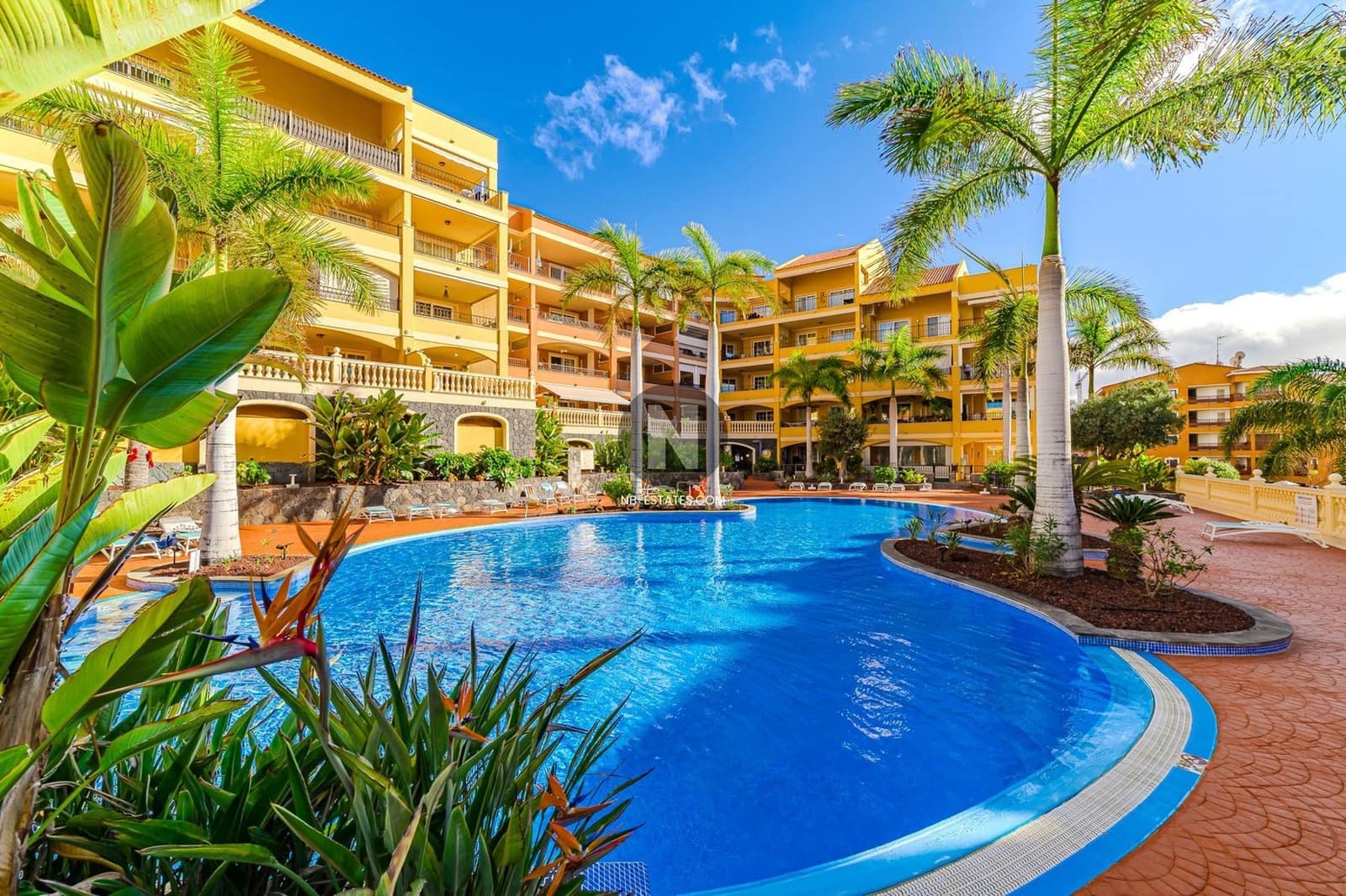 1 bedroom Flat for sale in Palm-Mar with pool - € 298,000 (Ref: 9928625)