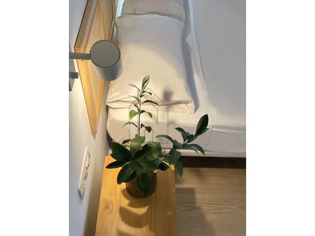 2 sypialnia Bungalow do wynajęcia w Campo Internacional, San Bartolomé de Tirajana - 1 500 € (Ref: 8206951)