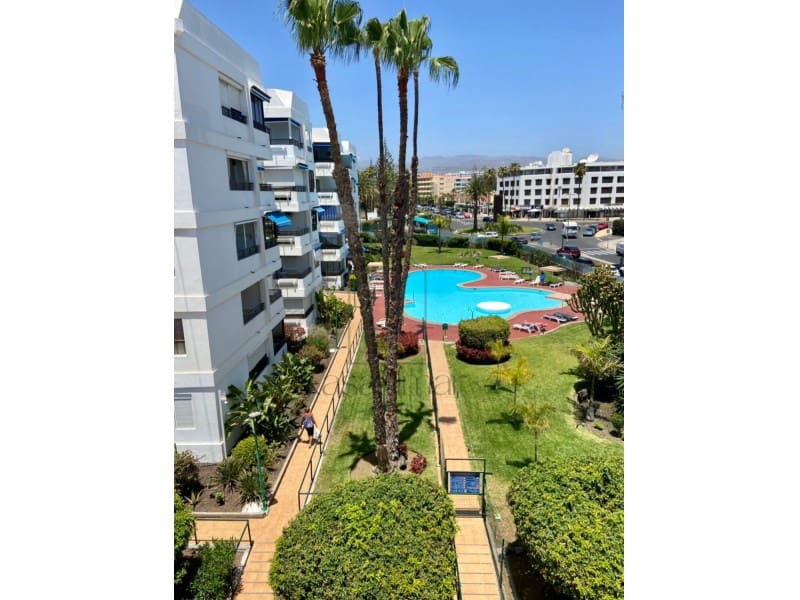 1 sovrum Lägenhet att hyra i Playa del Ingles med pool garage - 1 300 € (Ref: 8217791)