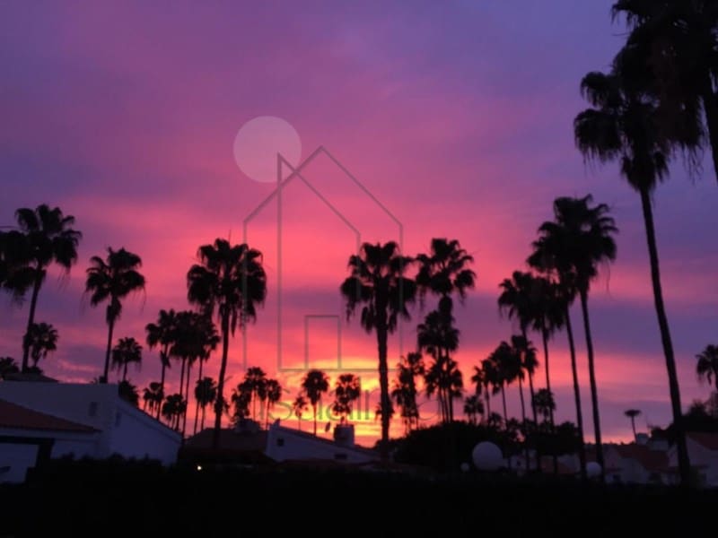 1 soveværelse Bungalow til leje i San Bartolome de Tirajana - € 1.350 (Ref: 8415681)