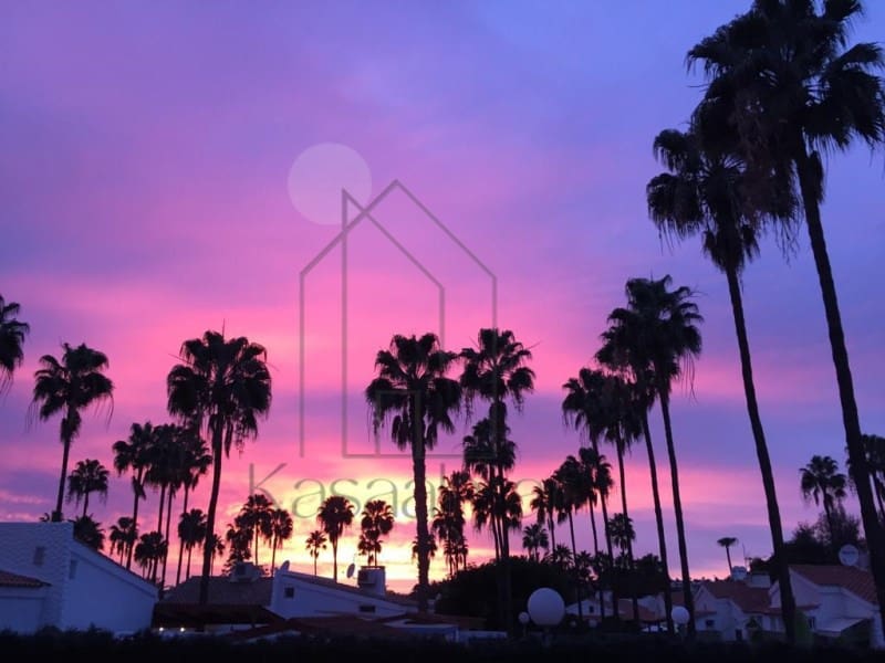 1 soveværelse Bungalow til leje i San Bartolome de Tirajana - € 1.350 (Ref: 8415681)