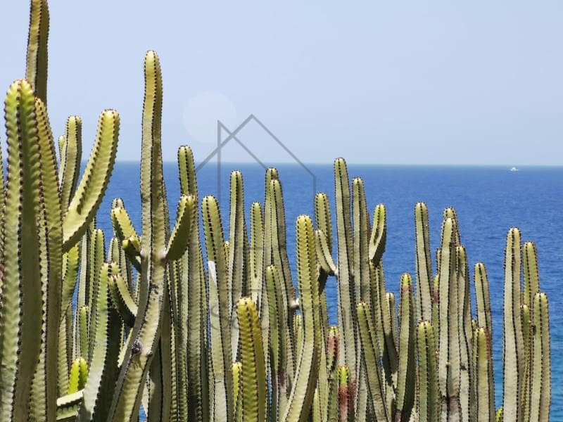 2 Zimmer Bungalow zu vermieten in Playa del Ingles - 1.500 € (Ref: 9230528)