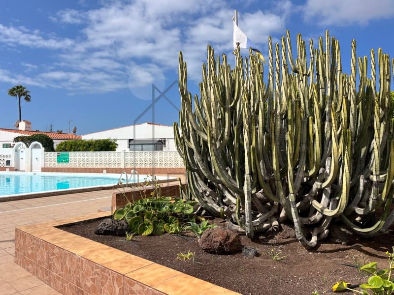 2 bedroom Bungalow for rent in Playa del Ingles with pool - € 1,400 (Ref: 9839268)