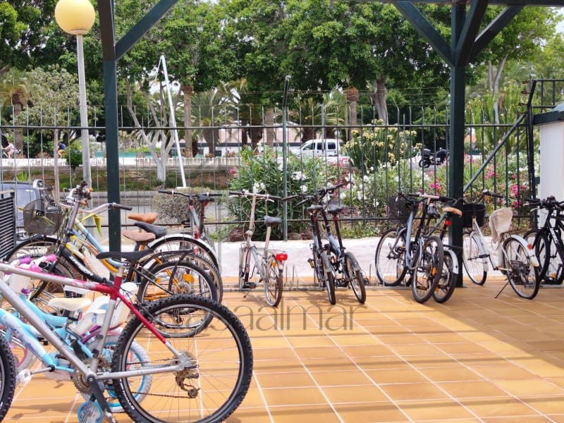 1 bedroom Bungalow for sale in San Bartolome de Tirajana - € 220,000 (Ref: 9865026)