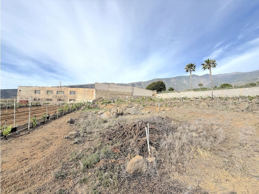 Grunde uden byggetilladelser til salg i Guimar - € 105.000 (Ref: 9008362)