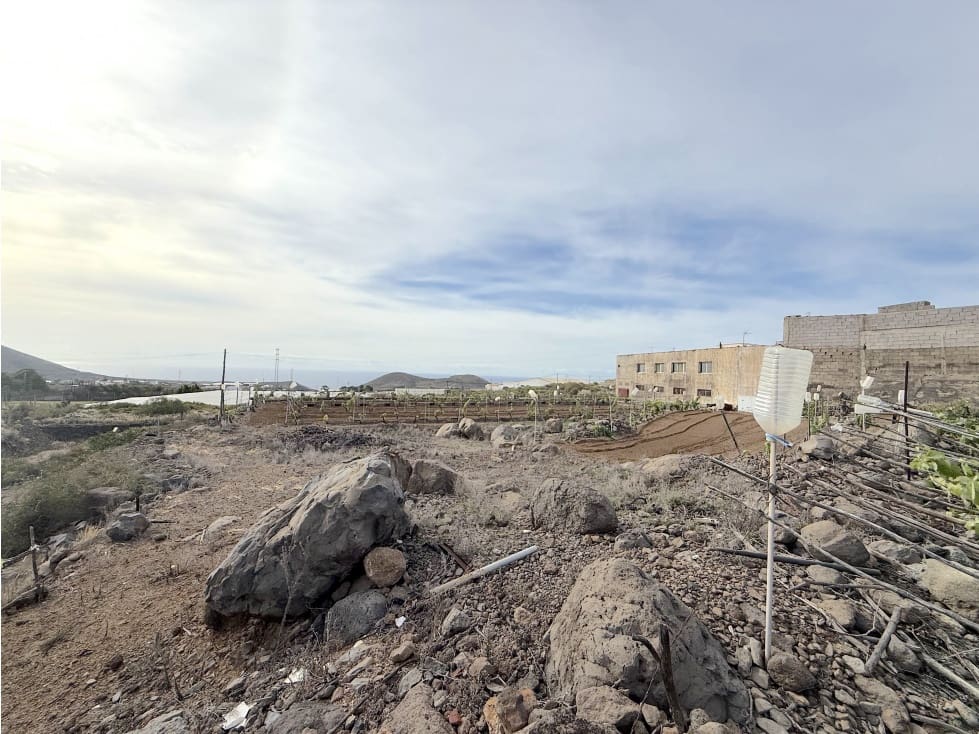 Grunde uden byggetilladelser til salg i Guimar - € 105.000 (Ref: 9008362)