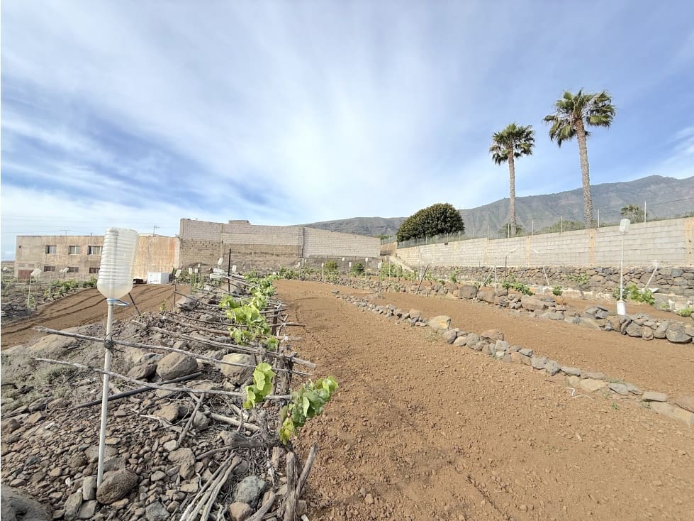 Grunde uden byggetilladelser til salg i Guimar - € 105.000 (Ref: 9008362)