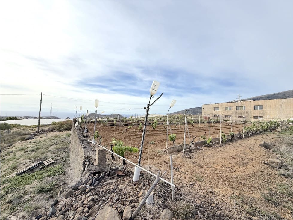 Grunde uden byggetilladelser til salg i Guimar - € 105.000 (Ref: 9008362)