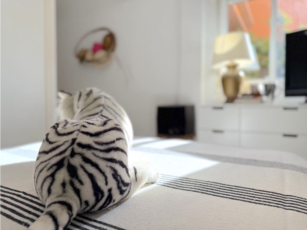 2 soverom Leilighet til salgs i Chayofa med svømmebasseng - € 354 900 (Ref: 9085818)