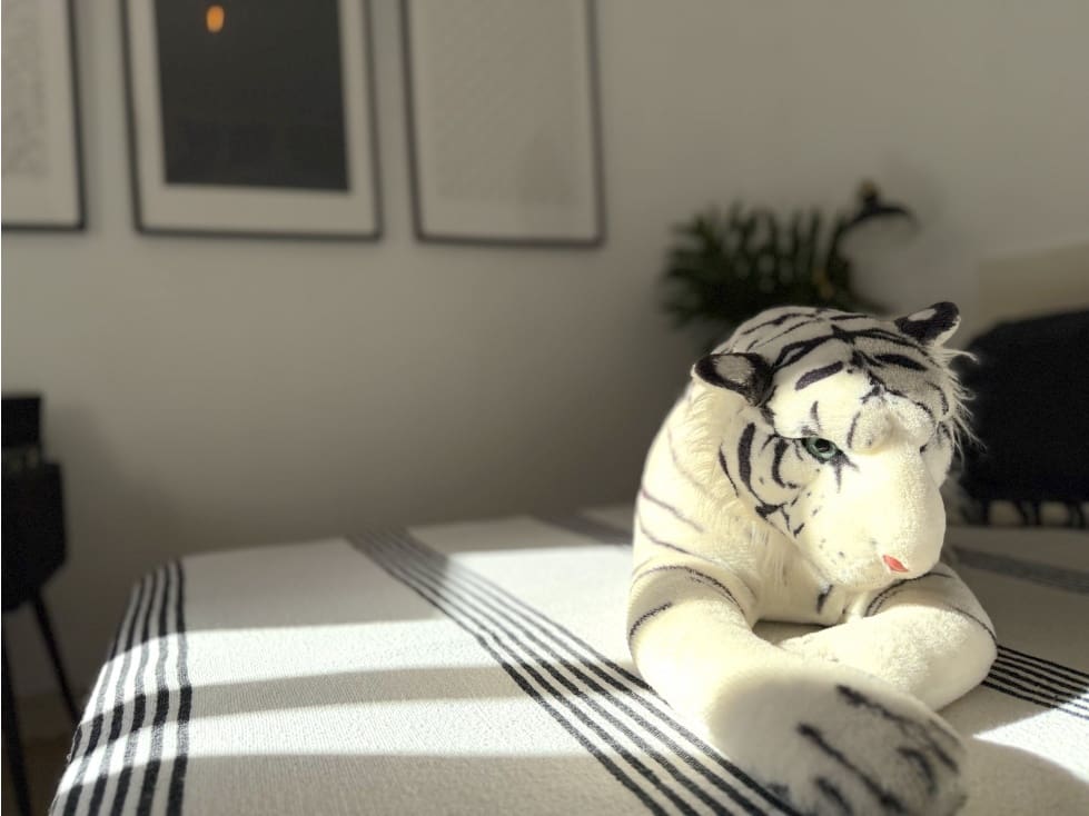 2 soverom Leilighet til salgs i Chayofa med svømmebasseng - € 354 900 (Ref: 9085818)