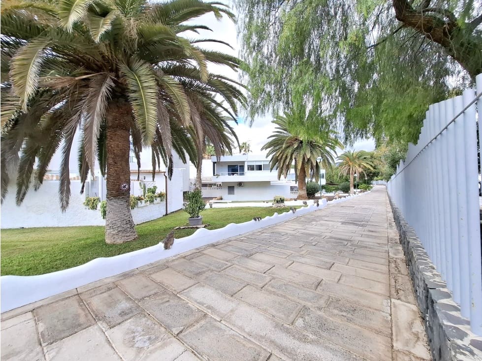 Estúdio para venda em Costa del Silencio - 159 900 € (Ref: 9533058)